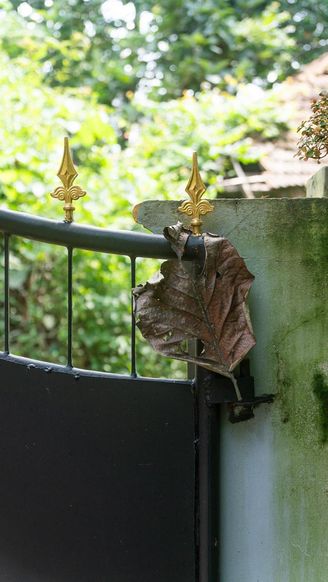 Soul Home Stay Varkala Exteriér fotografie